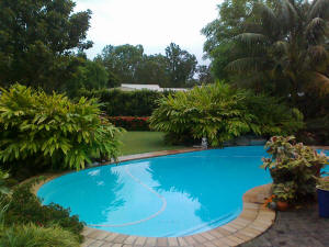 tropicial pool garden